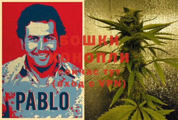 мет Нея