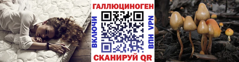 Купить где  Сортавала  Псилоцибиновые грибы MAGIC MUSHROOMS 
